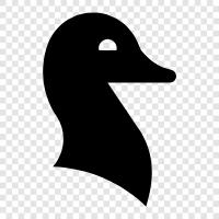 duck hunting, hunting, duck hunting gear, duck hunting tips icon svg