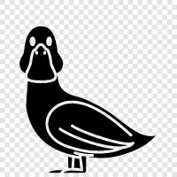 duck icon svg