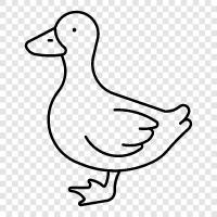 Ördek, Duck ikon svg