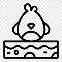 duck, chicken, egg, bird icon svg