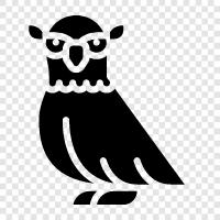 eared owl, barn owl, snowy, white icon svg