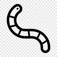 earthworm, intestinal worm, nematode, intestinal nematode icon svg