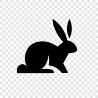 Easter, pet, family, house icon svg