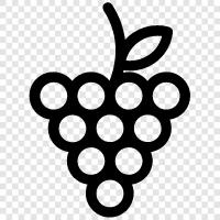 eating, juice, wine, grape icon svg