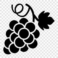 eating, grape, wine, sour icon svg