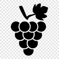 eating grapes, red grapes, white grapes, grape juice icon svg