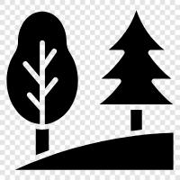 ecology, plants, flowers, trees icon svg