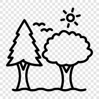 ecology, deforestation, climate change, pollution icon svg