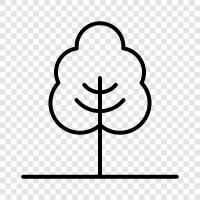 ecology, plants, animals, conservation icon svg