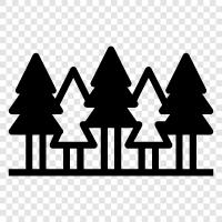 ecology, wilderness, animals, plants icon svg