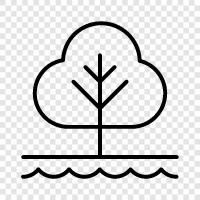 ecology, environment, flora, fauna icon svg