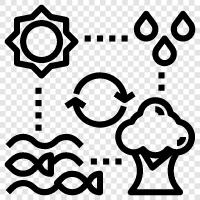 Ökosystemdienstleistungen symbol