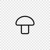 edible, fungi, edible mushrooms, wild mushrooms icon svg