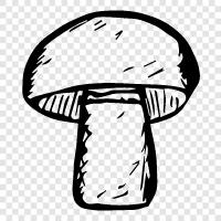 edible, fungi, cultivation, food icon svg