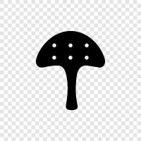 edible, edible fungi, edible mushrooms, wild mushrooms icon svg