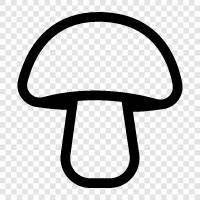 edible, edible mushroom, edible fungus, edible mycelium icon svg