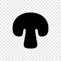 edible, fungal, edible mushroom, edible wild mushrooms icon svg