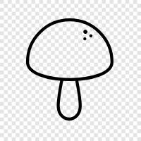 edible, edible mushrooms, edible mushrooms for sale, edible mushrooms for cooking icon svg