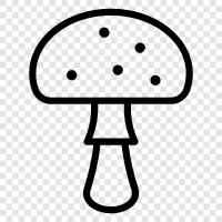 edible fungi, fungi, edible mushrooms, wild mushrooms icon svg