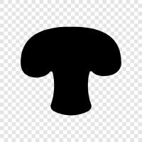 edible, cultivated, fungus, edible fungi icon svg