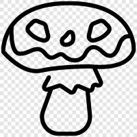 edible, fungi, cultivated, species icon svg