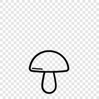 edible, food, cooking, mushroom farming icon svg