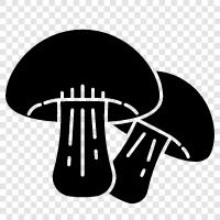 edible, fungus, edible mushroom, wild mushroom icon svg