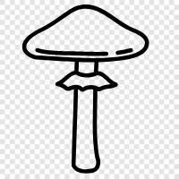 edible, fungi, edible mushrooms, wild edible mushrooms icon svg