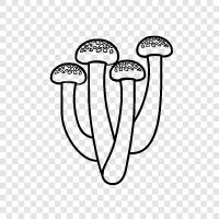 edible, edible mushrooms, edible mushrooms for beginners, Mushroom icon svg