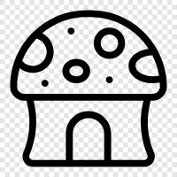 edible mushroom, wild mushroom, edible fungus, edible toadstool icon svg