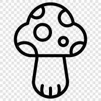 edible, fungi, edible mushrooms, edible fungi icon svg