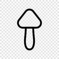 essbar, Pilze, essbare Pilze, kulinarische symbol