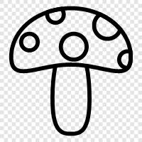 edible, cultivation, farming, edible mushrooms icon svg