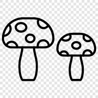 edible, fungus, edible mushrooms, wild mushrooms icon svg