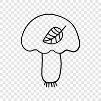 edible, fungus, edible fungi, agaricus icon svg