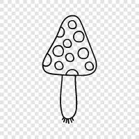 edible, edible mushrooms, wild, grow icon svg