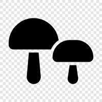 edible, fungi, toadstools, edible toadstools icon svg