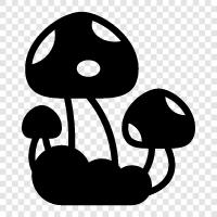 edible, fungus, edible fungus, edible mushroom farming icon svg