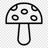 edible, fungus, edible fungi, wild mushrooms icon svg