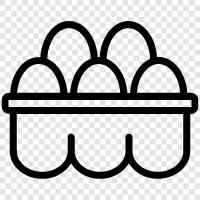 egg carton, egg cartons, eggs for sale, fresh eggs icon svg