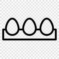 egg carton, egg slicer, egg timer, egg white icon svg