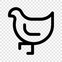 egg, chicken, farm, laying icon svg