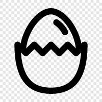 eggshells, eggshells for sale, eggshells for collecting, Egg Shell icon svg