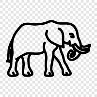 elephant icon svg