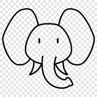 elephant icon svg