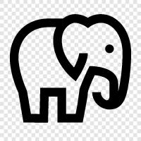 elephant care, elephant conservation, elephant habitat, elephant intelligence icon svg