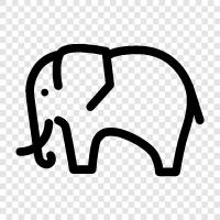 elephant conservation, elephant population, elephant habitat, elephant behavior icon svg