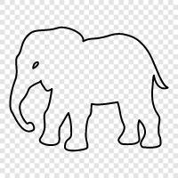 elephant conservation, elephant populations, elephant care, elephant research icon svg