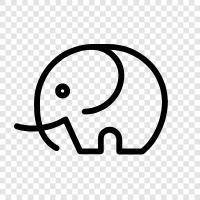 elephant trek, elephant sanctuary, elephant conservation, elephant population icon svg