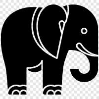 Elephantidae, Mammal, Animal, Wild icon svg